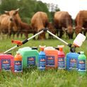 Daisy Paint incl. brush, 750ml additional 1
