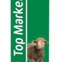 Sheep Marking Spray TopMarker additional 2