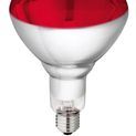 Hard Glas Infrared Lamp 250 W additional 1