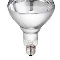 Hard Glas Infrared Lamp 250 W additional 2