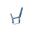 Hy Equestrian Economy Plus Headcollar Kingfisher additional 1