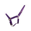 Hyconic Headcollar Head Collar Purple additional 2