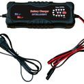 Rutland Charger for 12 V Gel/Wet Battery additional 1