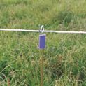Rutland Head Insulator with metal ring additional 2
