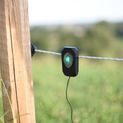 Rutland Pulse Flash additional 3