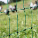 Rutland Poultry Net 50 m, 112 cm, double prong, electrically conductive additional 2