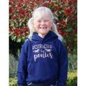 Bcc Distracted By Ponies Glitter Hoodie 64 Navy/Rose Gold additional 1