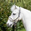 Coldstream Langlee Luxury Headcollar &amp; Lead Rope Grey additional 2