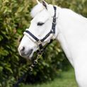 Coldstream Langlee Luxury Headcollar &amp; Lead Rope Navy additional 1