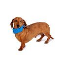 Danish Design Pet Cooling Collar additional 1