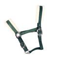 Hy Equestrian Christmas Elf Headcollar Green Sparkle additional 3