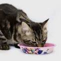 Joules Cambridge Floral Cat Bowl additional 1