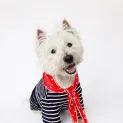 Joules Harbour Top &amp; Neckerchief Set additional 2