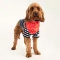 Joules Harbour Top &amp; Neckerchief Set additional 4