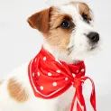 Joules Harbour Top &amp; Neckerchief Set additional 5