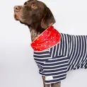 Joules Harbour Top &amp; Neckerchief Set additional 3