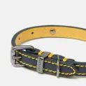 Joules Leather Dog Collar Navy additional 4