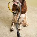 Joules Leather Dog Lead Navy additional 2
