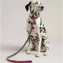 Joules Leather Dog Lead Navy Pink additional 2