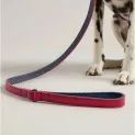 Joules Leather Dog Lead Navy Pink additional 4