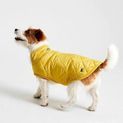Joules Quilted Dog Coat Antique Gold additional 2