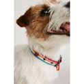 Joules Rainbow Stripe Dog Collar Small additional 2
