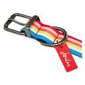 Joules Rainbow Stripe Dog Collar Small additional 5