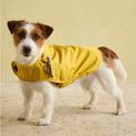 Joules Raincoat Antique Gold additional 4