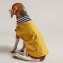 Joules Raincoat Antique Gold additional 3