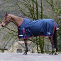 Whitaker R445 Rastrick V2 200g Standard Turnout Rug Navy additional 8