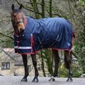 Whitaker R445 Rastrick V2 200g Standard Turnout Rug Navy additional 6