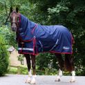 Whitaker R446 Rastrick V2 150g Combo Turnout Rug Navy additional 2