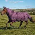 W-Horse Whr18 250g Combo Turnout Rug Purple Floral additional 6