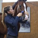 Aesculap Cordless Clipper Durati Horse additional 6