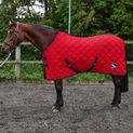 W-Horse Wr130 Mis 100g Stable Rug Red additional 6