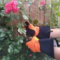 Clip Glove Pruner additional 1