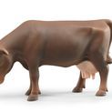 Bruder Brown Cow 1:16 additional 4