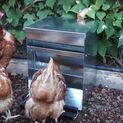 Copele "Safeed" Automatic Poultry Feeder additional 4
