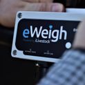 iLivestock eWeigh Bluetooth Livestock Weighing System additional 6