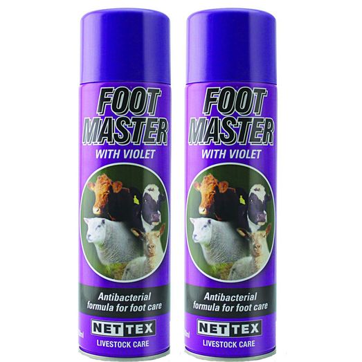 NETTEX Foot Master with Violet Aerosol (500ml Can Multibuy)