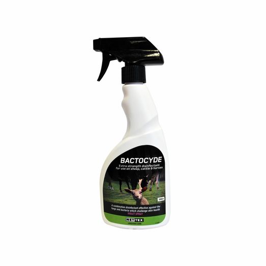 Nettex Bactocyde Disinfectant (500ml)