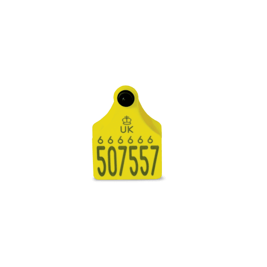 Allflex Single Replacement Cattle Tag