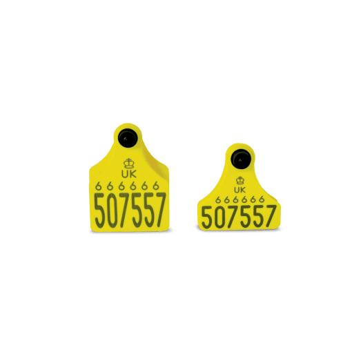Allflex Double Replacement Cattle Tag