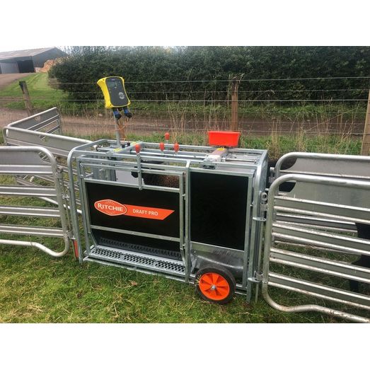 Ritchie Draft Pro With Swing Gate