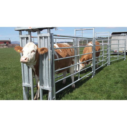 Ritchie Basic Auto Head Yoke