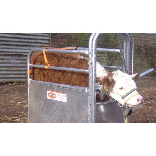 Ritchie Galvanised Calf Dehorning Crate