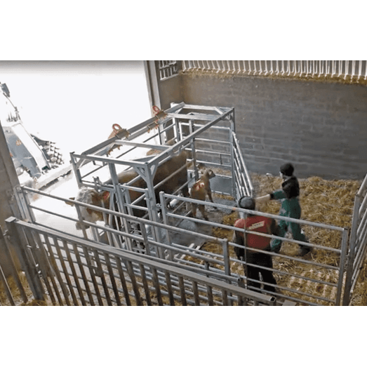 Buy Ritchie Steel Frame Calving Cube With Detachable Gate from £7,746.00