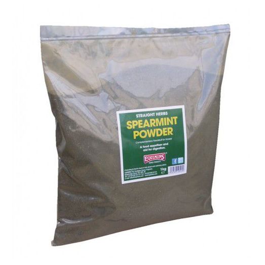 Equimins Straight Herbs Spearmint Powder - 1 KG BAG