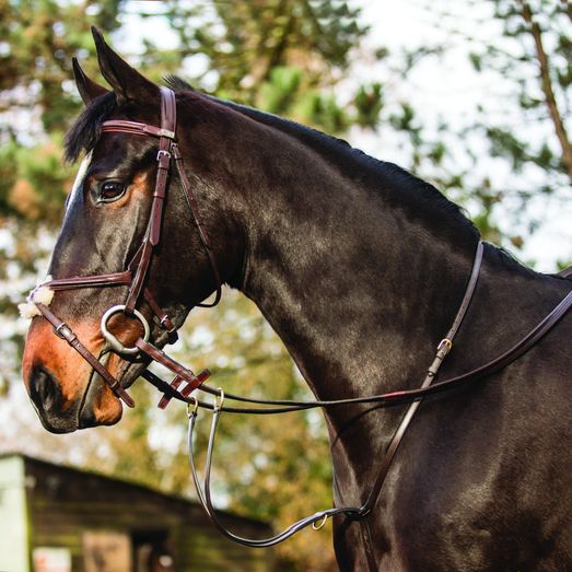 Mark Todd Martingale Running with Brass Fittings - Full