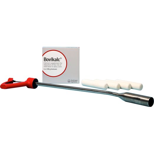 Boehringer-Ingelheim Bovikalc Applicator